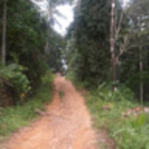 Meet your Posher, Tori